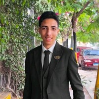 Osama Elmokemy