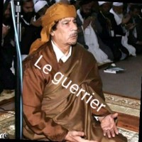 Abdoul Majid Amadou