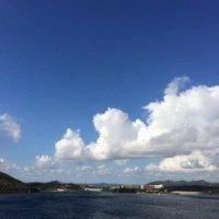 刘子杨