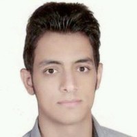 Farshid Najafi