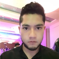Jesus Geovanni Pallares Baños
