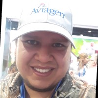 Luis Ariel Robles Urrutia