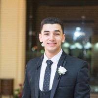 Hady Elmasry