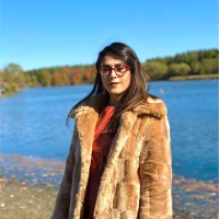 Negar Alaeinovin