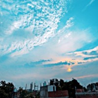Avinash Gupta