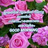 Satheeshkumar Satheesh