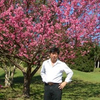 HELIO SAKURAI