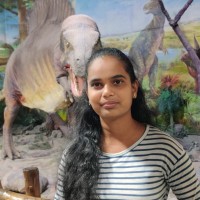 Nandini N K