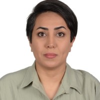 Shima Salimi