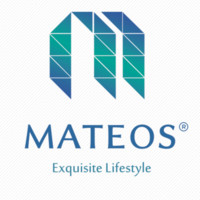 Mateos IT Dept.