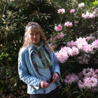 Nancy Holbrook