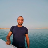 Ahmed Anis