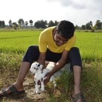 Sam Solomon Prabu SD