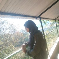 Saniya Momin