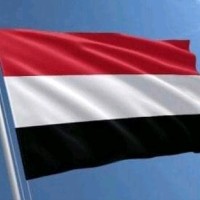 محمد امين السلمي