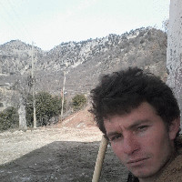 Ni̇zam Ari