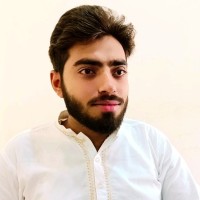 M Haroon Mansha