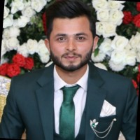 Hamid Saleem