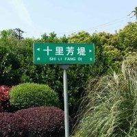 郑宇晴