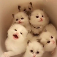 Admin Admin