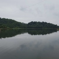 田金志