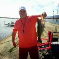 Steve Arnold