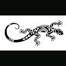 Lizard O_O