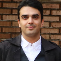 Mohammad Hossein Mirhashemi