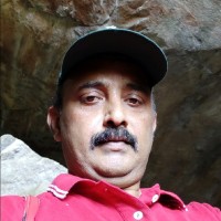 Roy Varghese