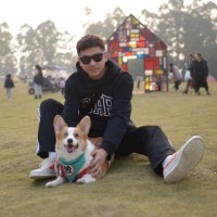 George Gao