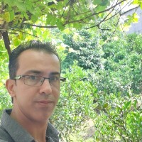 Ali Amiri