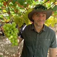 Ira Greenstein