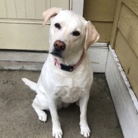 Miss Elsa