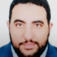 Tamer Ezz