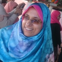 Noha Shawry