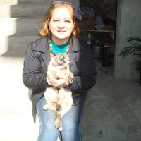 Fátima  Cristina de Moraes Alexandre