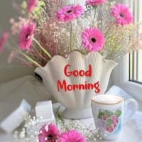 P .C Jat