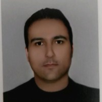 Ehsan Lotfi