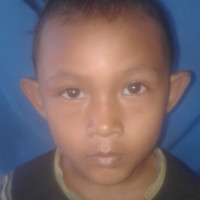 Aini Aini