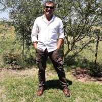 Diego Pinazzo