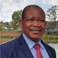 Ike Dibobo