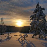 Pekka Väänänen