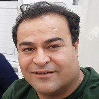 Hiva Karimi