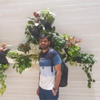 Ramesh Kumar
