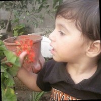 اسامه اسامه
