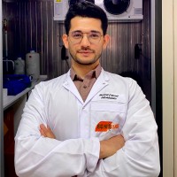 Mehmet Çalıseki, PhD