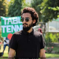 Abdul Mohsin