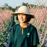 Suzan Tin Htut