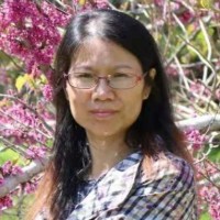 Yanghua (Lily) Xiang