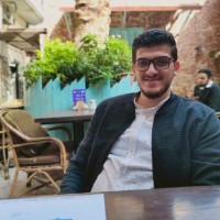 Mostafa Hussein Elswalhy